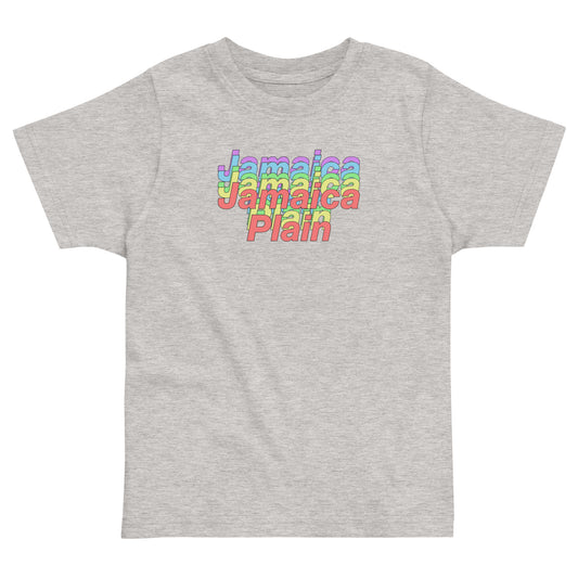 Rainbows in Jamaica Plain, Boston t shirt, toddler size, grey