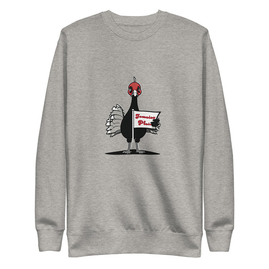 Jamaica Plain sweater