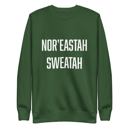 Nor'easter sweater
