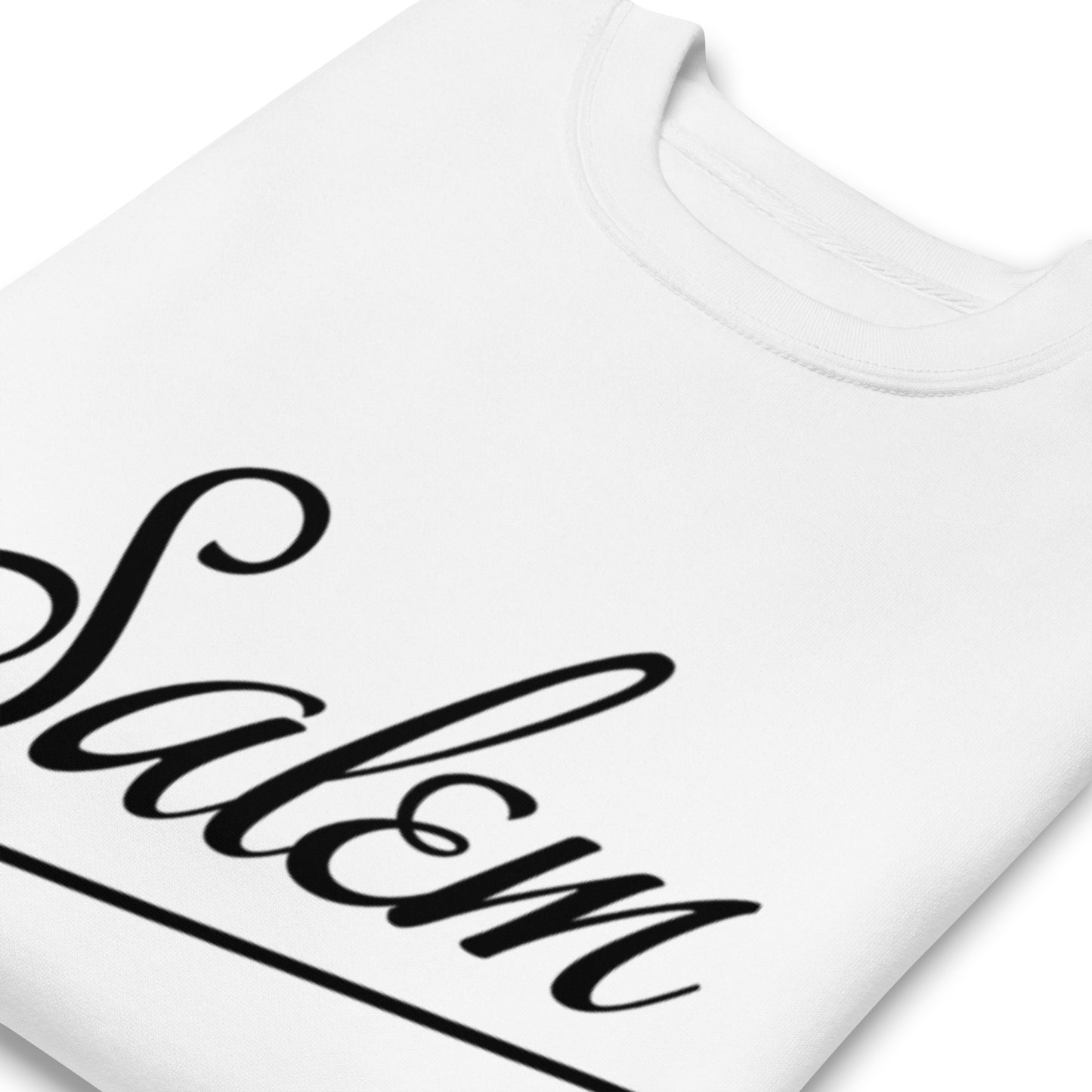 Salem Crew Neck Sweatshirt