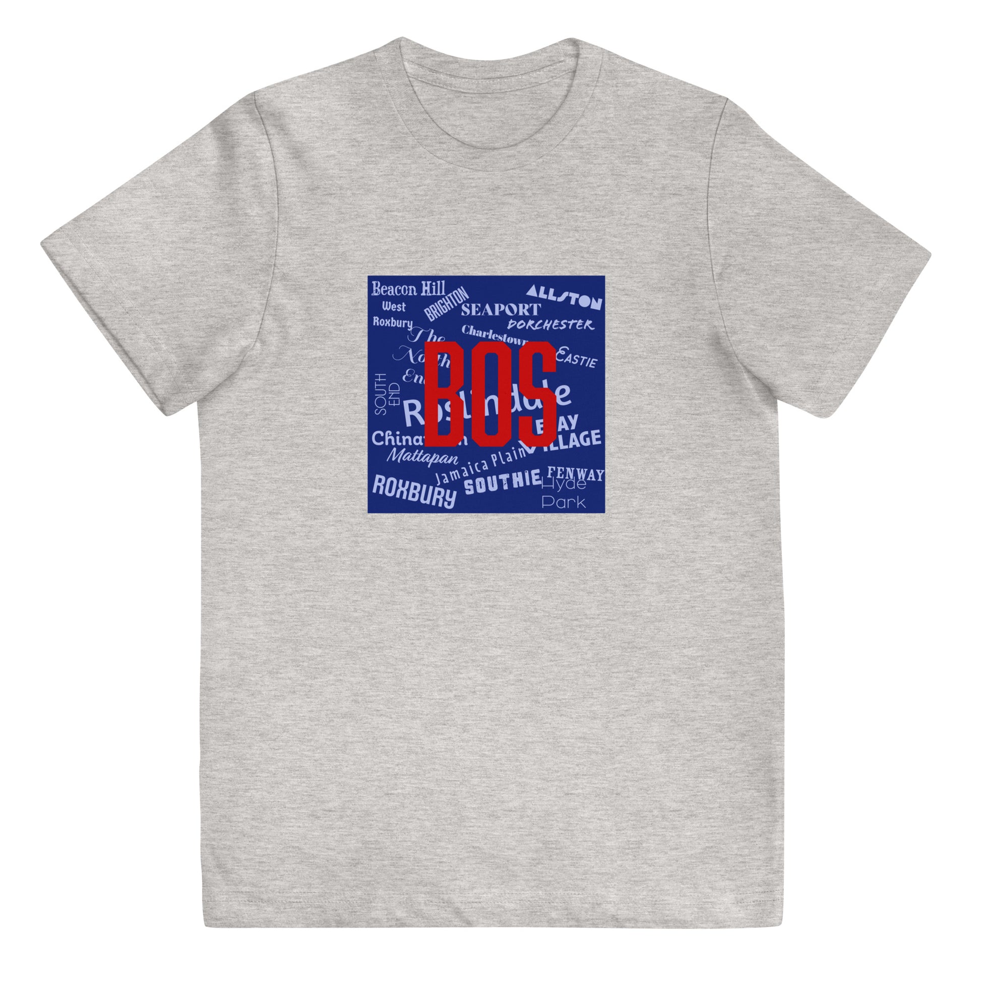 Neighborhoods of Boston, MA T shirt, youth, grey