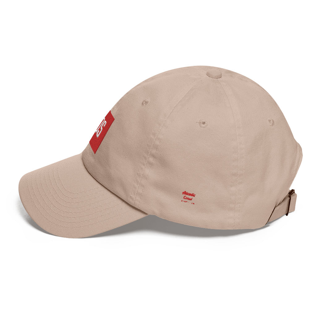 Boston "BOS" Dad hat