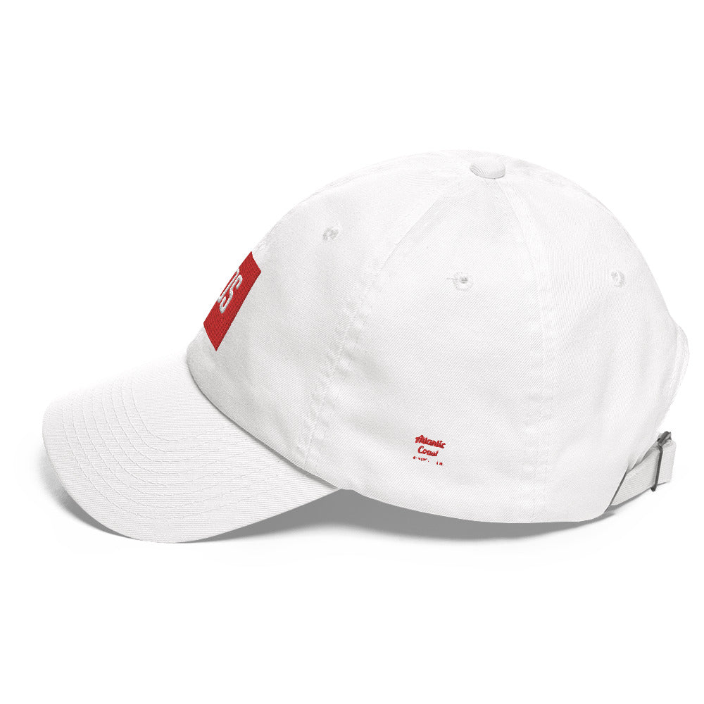 Boston "BOS" Dad hat