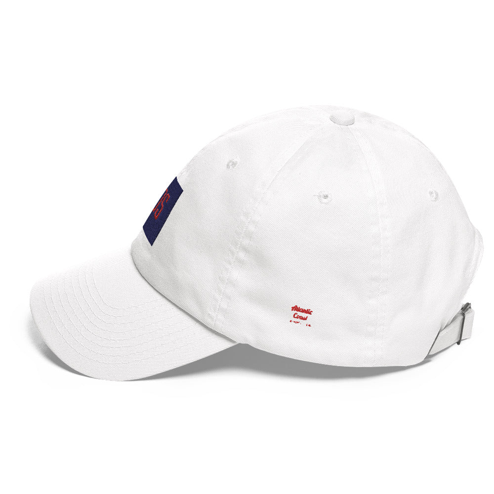 Boston "BOS" Hat- white