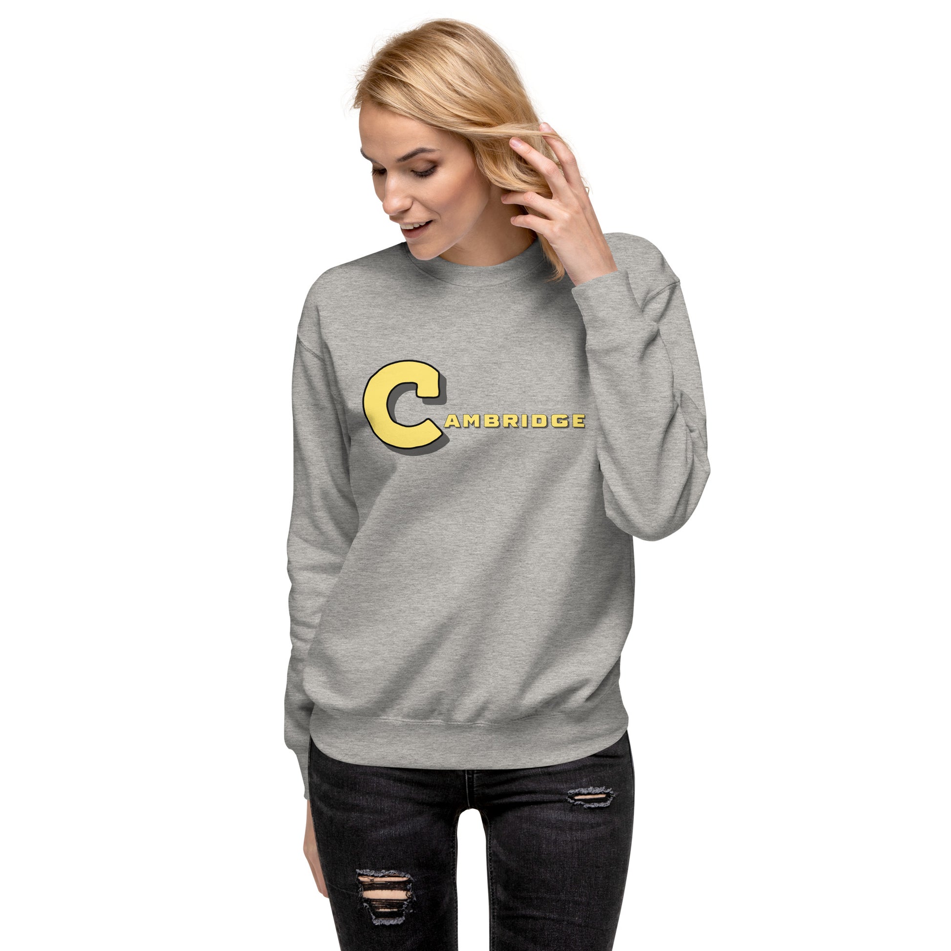 Cambridge crew neck sweatshirt, Cambridge, MA; grey