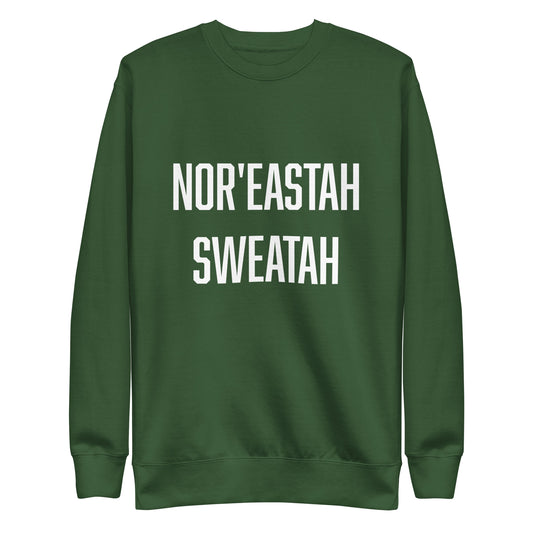 Nor'easter sweater