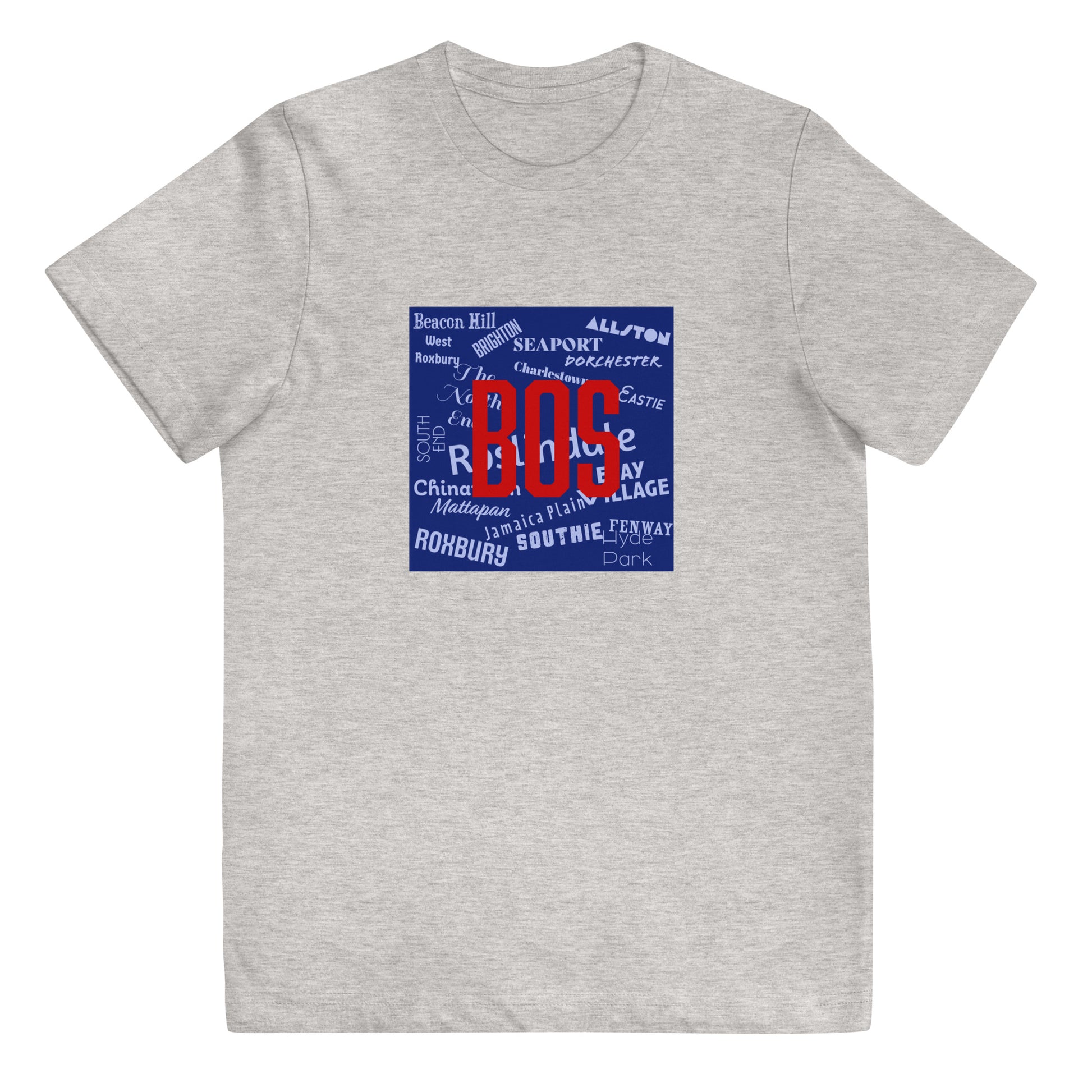 Neighborhoods of Boston, MA T shirt, youth, grey